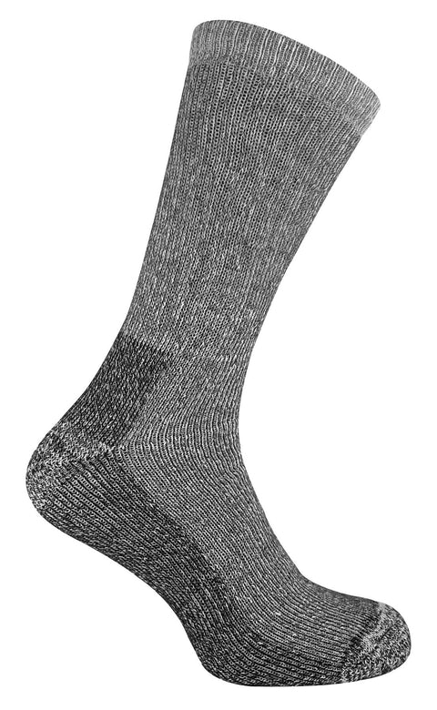 V035885958_0.jpg