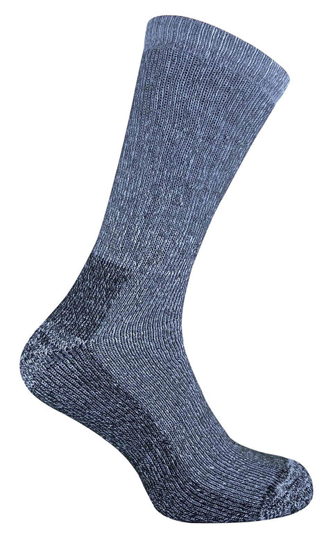 V035885959_0.jpg